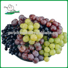 Виноград Китай / красный виноград / Лучший свежий красный виноград